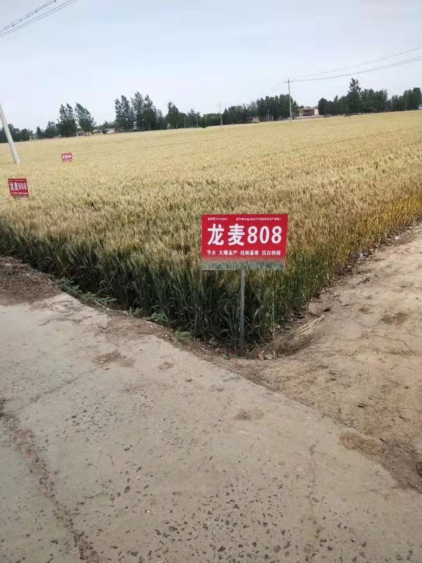 產(chǎn)地調(diào)研