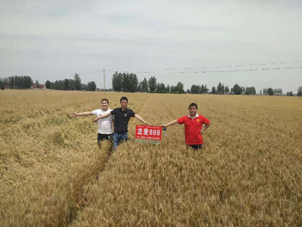 產(chǎn)地調(diào)研